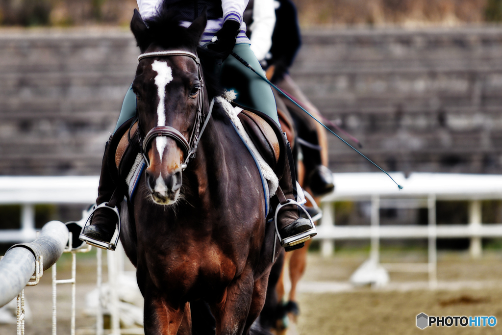 乗馬~