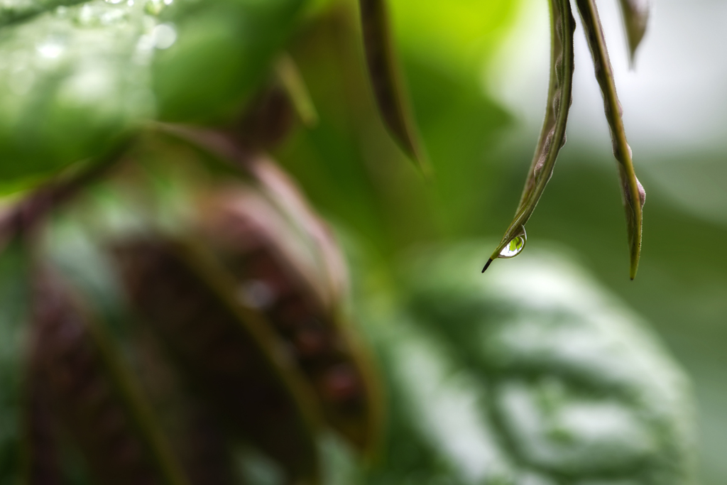 雨Λ