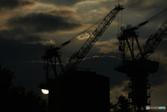夕日クレーン