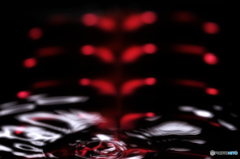 rib