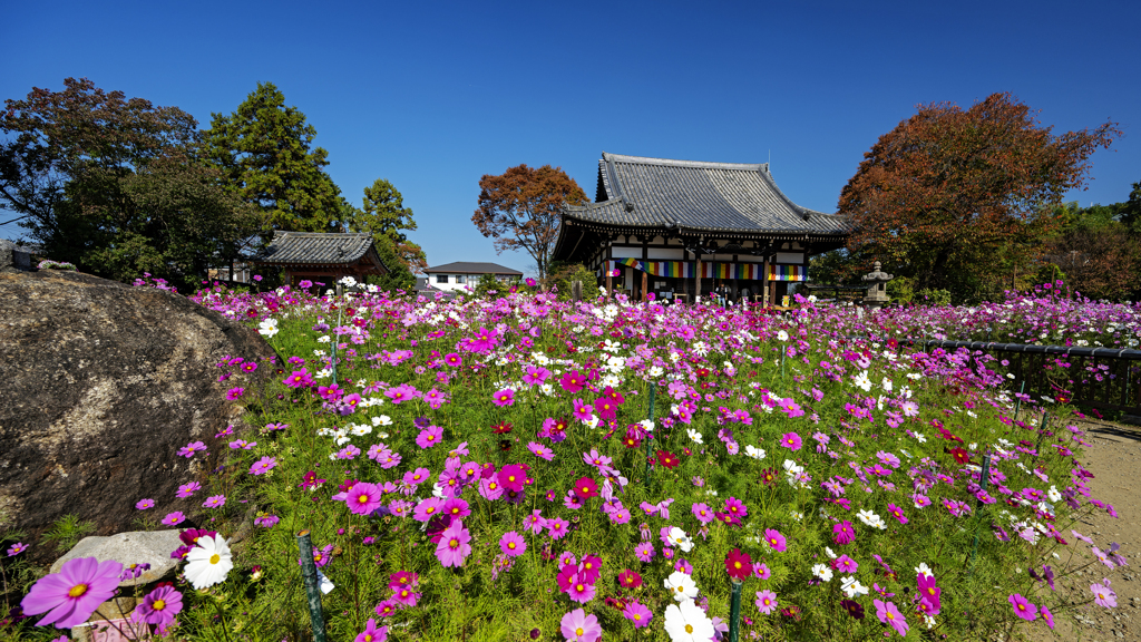 般若寺