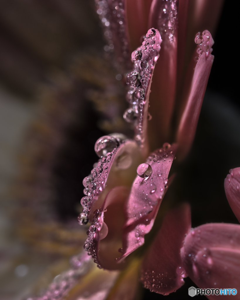 水滴°°