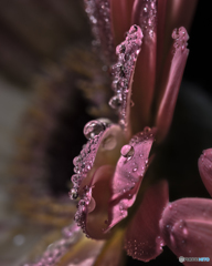 水滴°°