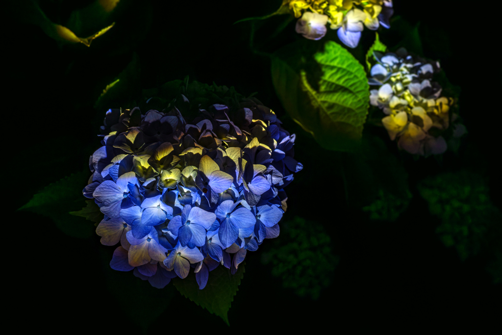 夜撮影a