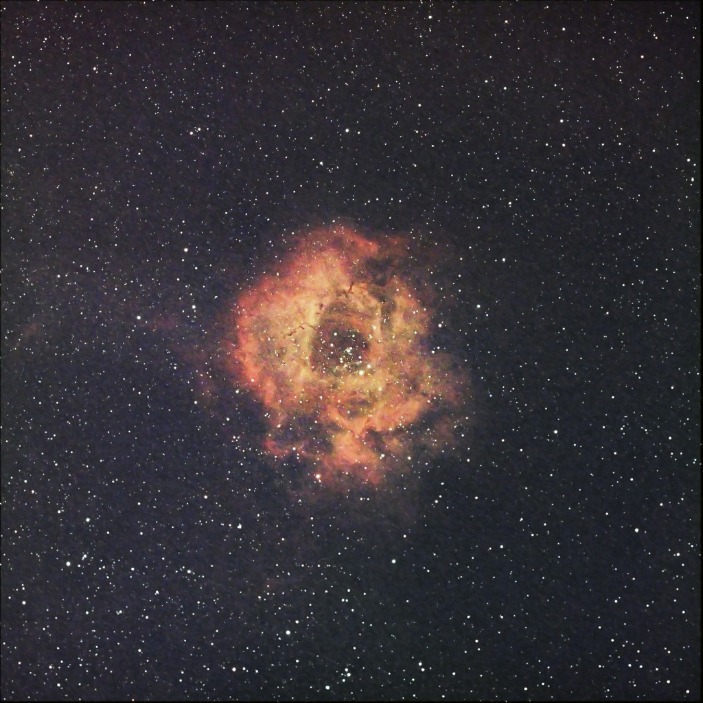 バラ星雲