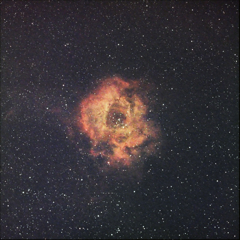 バラ星雲