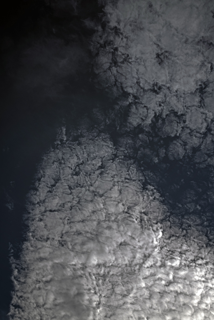 ”巻積雲”