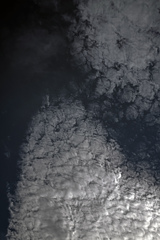 ”巻積雲”
