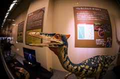 ダチョウ型恐竜