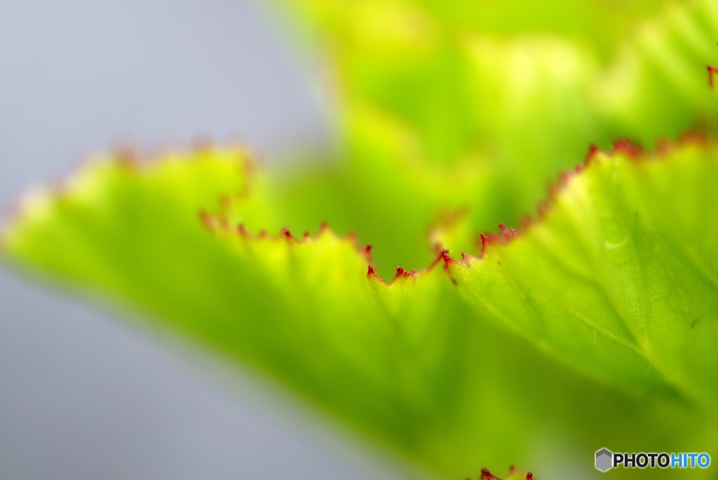 Red edge