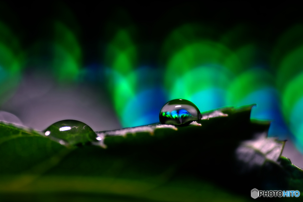 オーロラグリーン