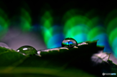 オーロラグリーン