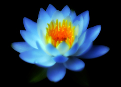 blue light