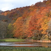 紅葉の蔦温泉