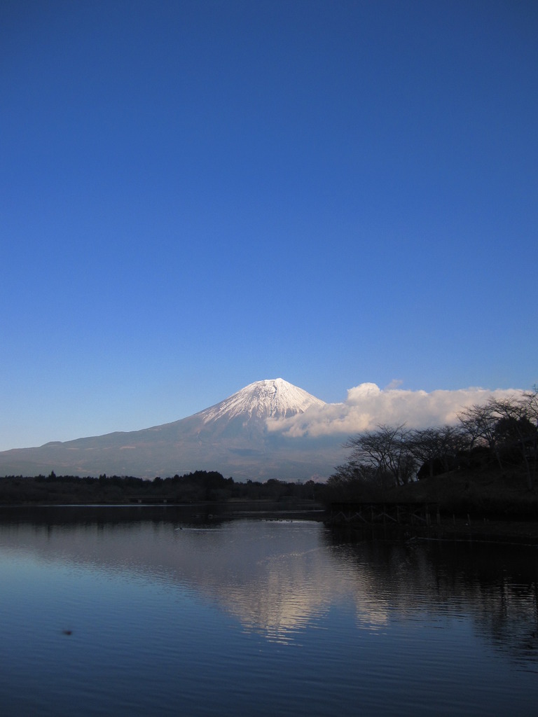 富士山　田貫湖より