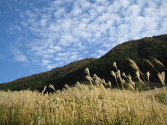 箱根　仙石原