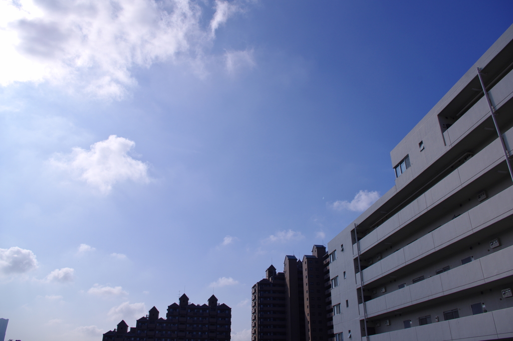 もうちょいで梅雨明け