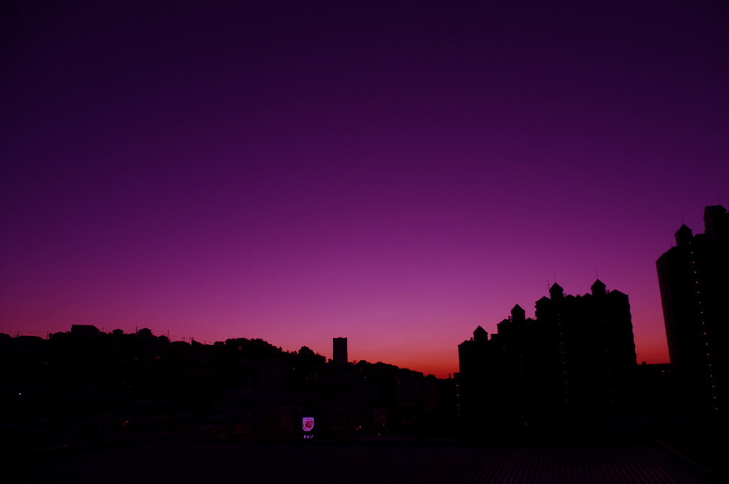 Purple Morning