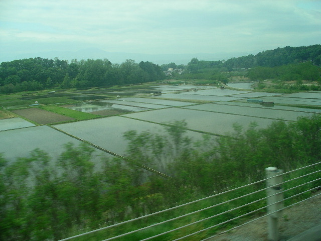 田園