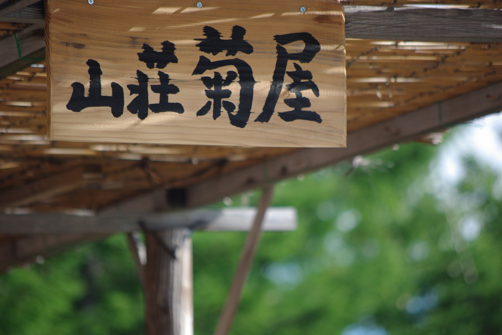 お世話に・・