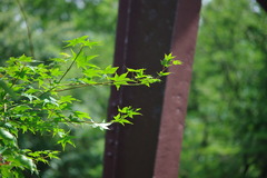 物と緑