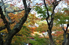 信貴山　朝護孫子寺