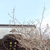 建長寺