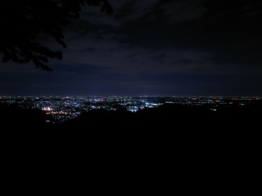 高尾山より