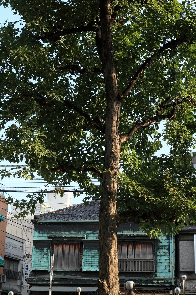 撮練