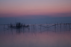 春の朝沼