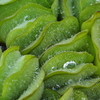 Water drop2