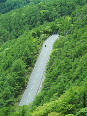 新緑を行く