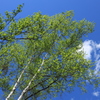 5月の空