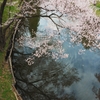 水面