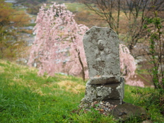 野の仏