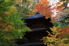 秋色の三重塔
