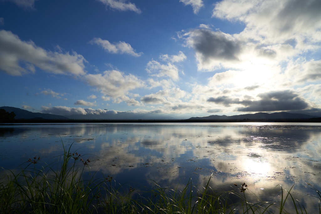 Reflection
