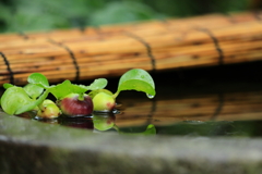 雨止み