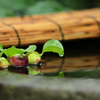 雨止み