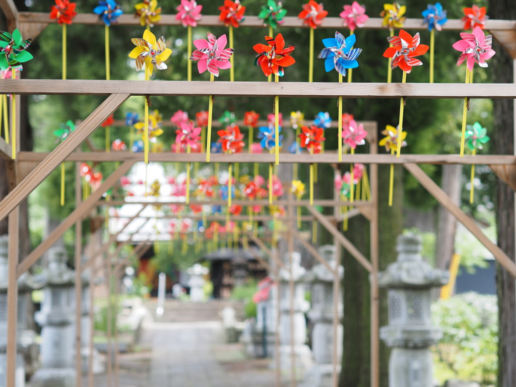 風吹かぬ参道