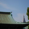 都会