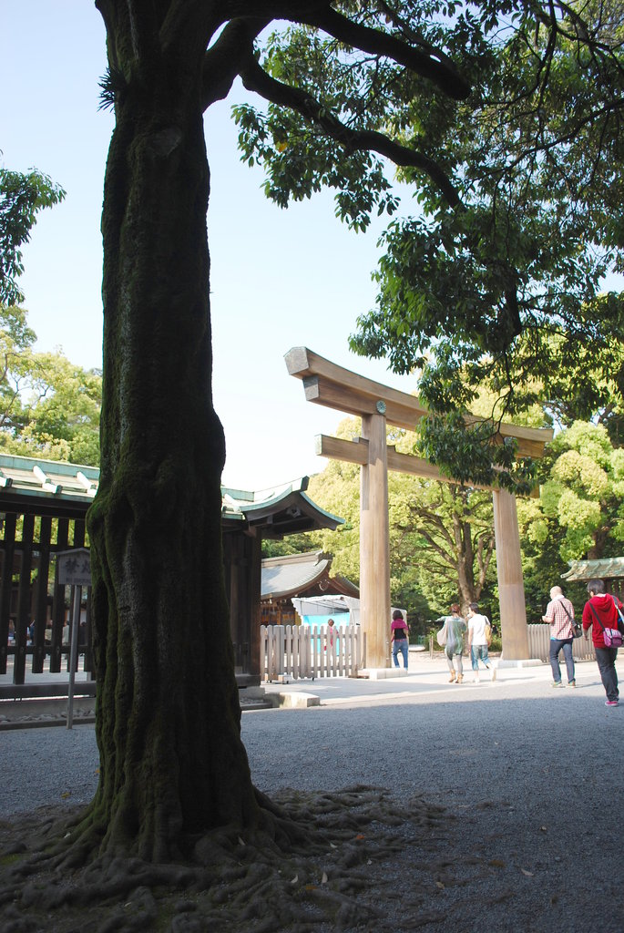 木陰