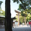 木陰