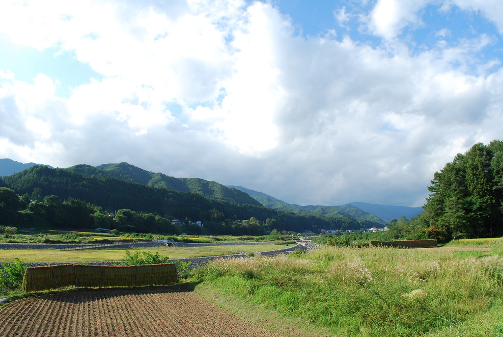 田園