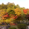 天龍寺の紅葉