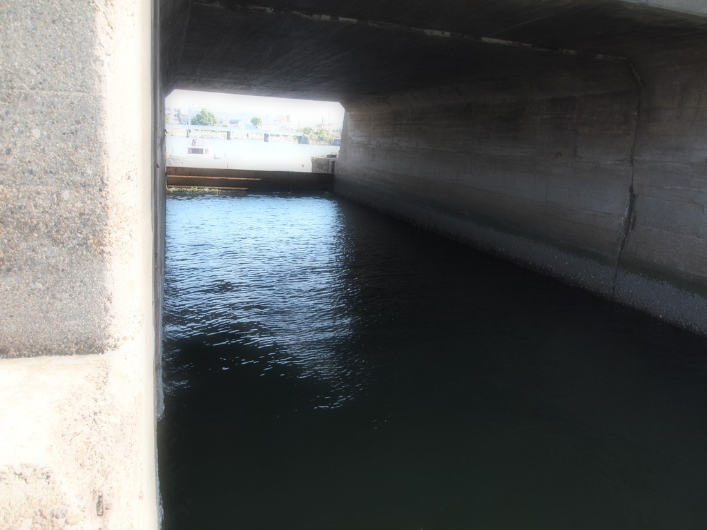PA040012