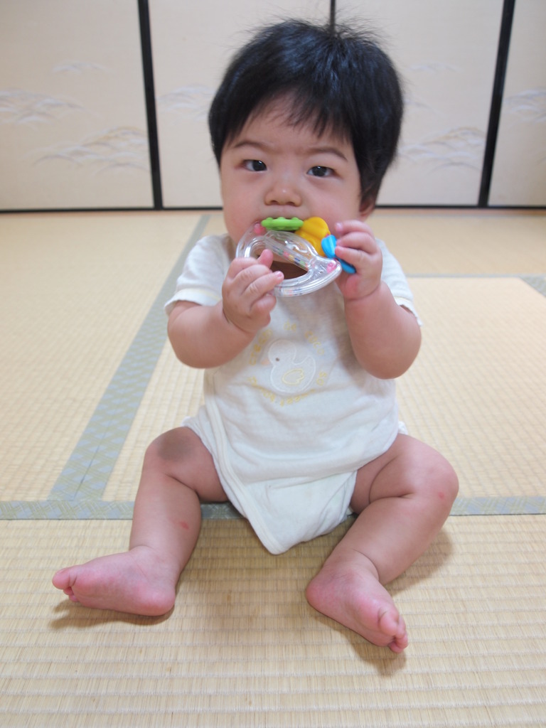 かみかみ