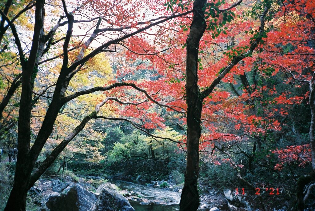 帝釈峡