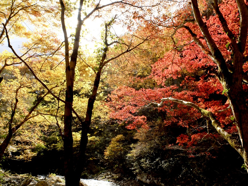 帝釈峡