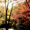 帝釈峡